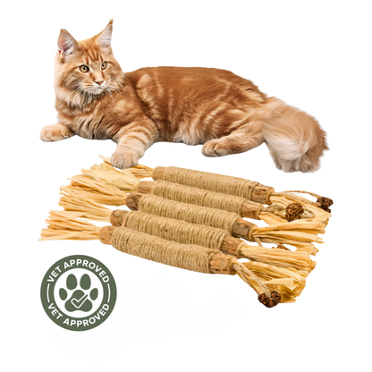 PurrBite™ Pack de Sticks Dentales de Silvervine