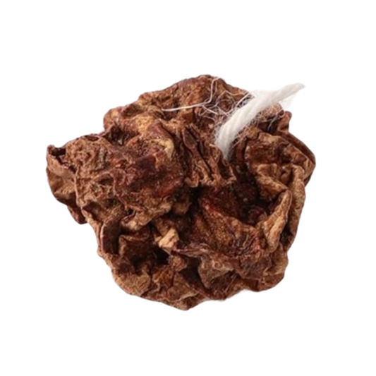 Frutas de Silvervine