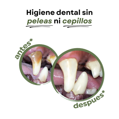 PurrBite™ Pack de Sticks Dentales de Silvervine