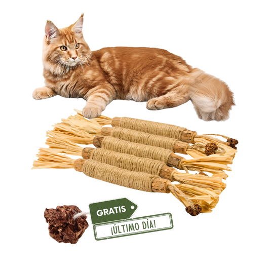 PurrBite™ Pack de Sticks de Silvervine