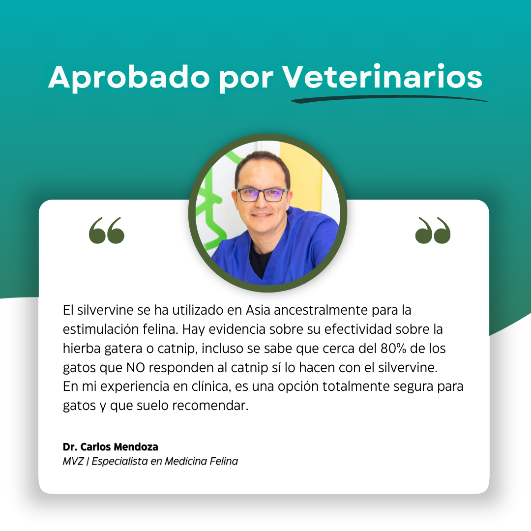 PurrBite™ Pack de Sticks Dentales de Silvervine