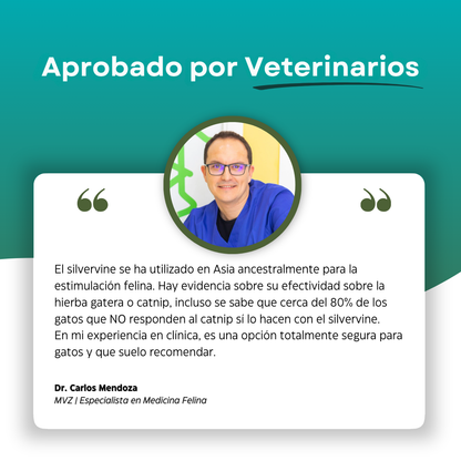 PurrBite™ Pack de Sticks Dentales de Silvervine