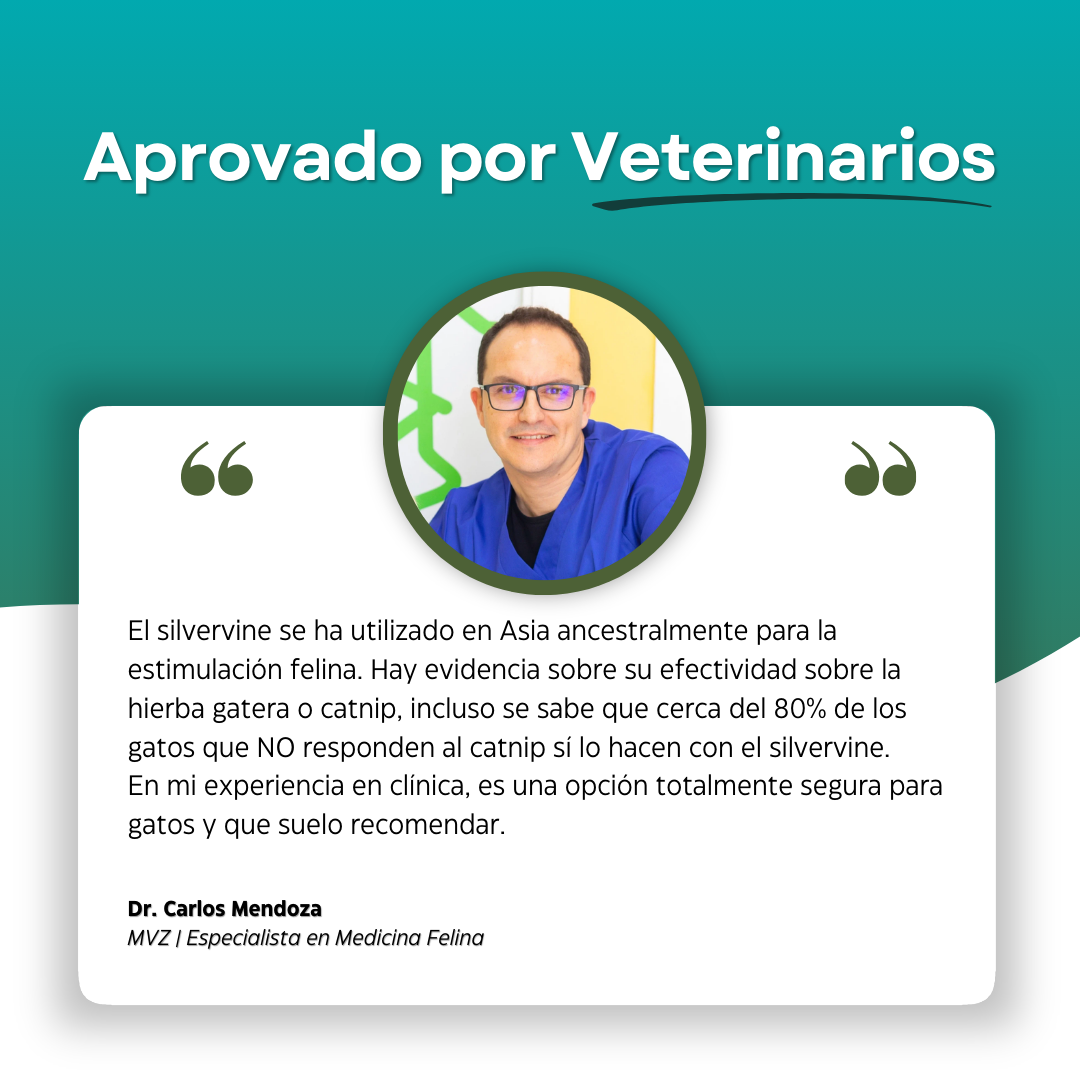 PurrBite™ Pack de Sticks Dentales de Silvervine