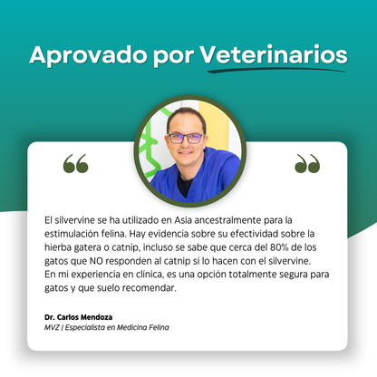 PurrBite™ Pack de Sticks Dentales de Silvervine